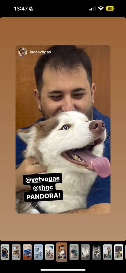Pet atendido no Vetvogas